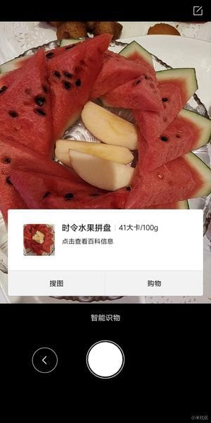 小米智能识物