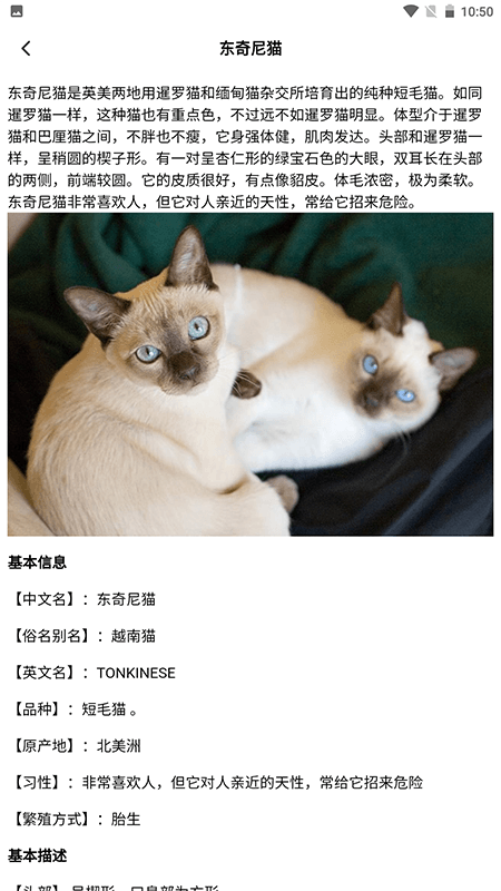 我家猫舍