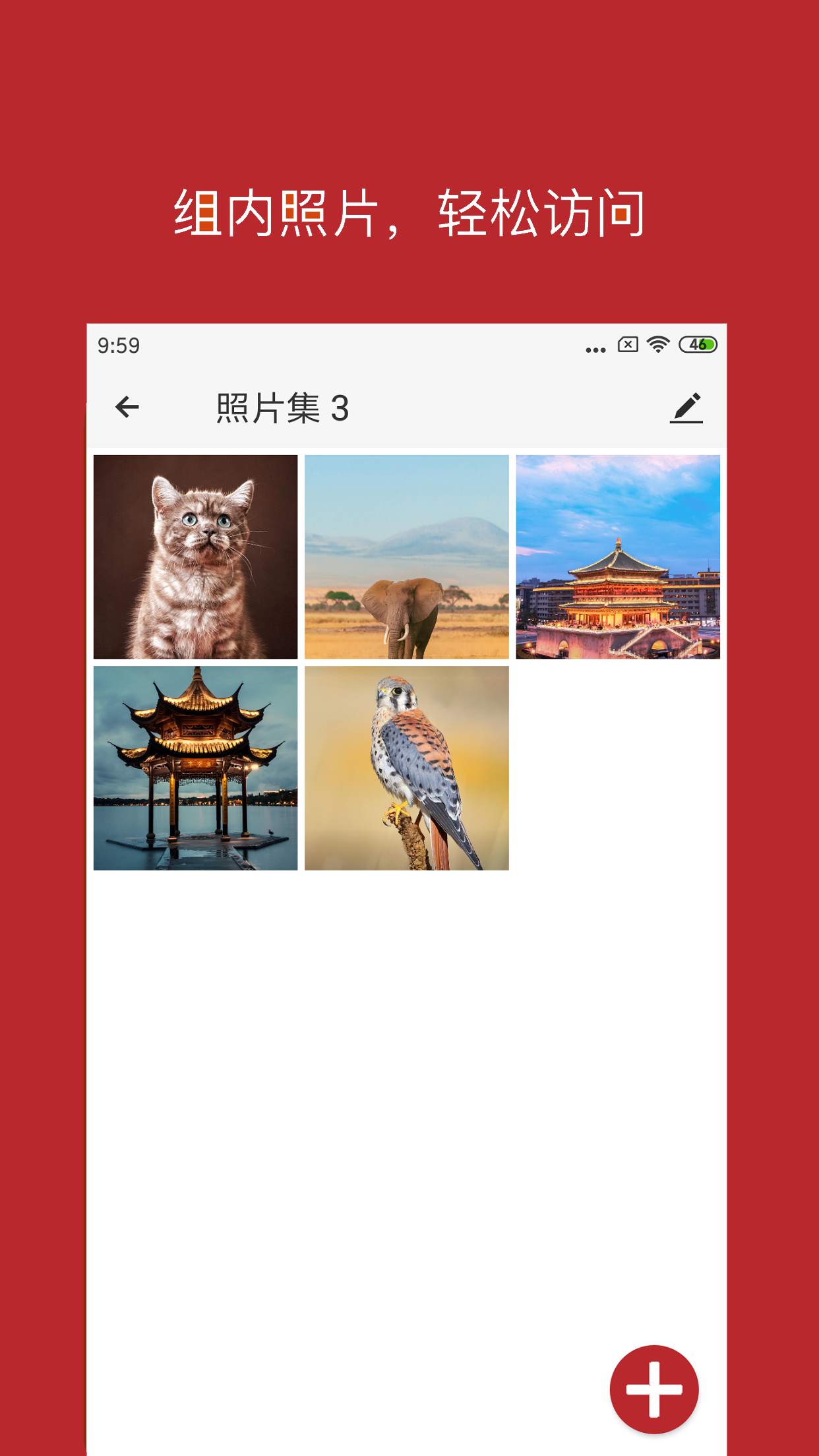 月犬云盾