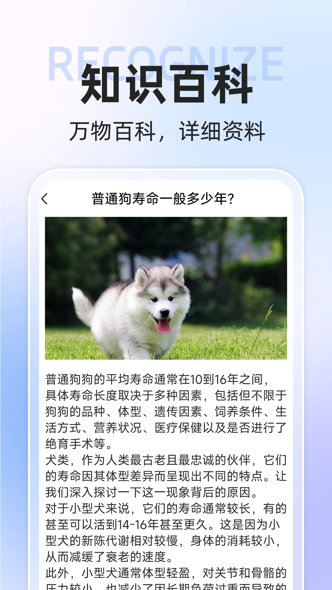 ai动物世界