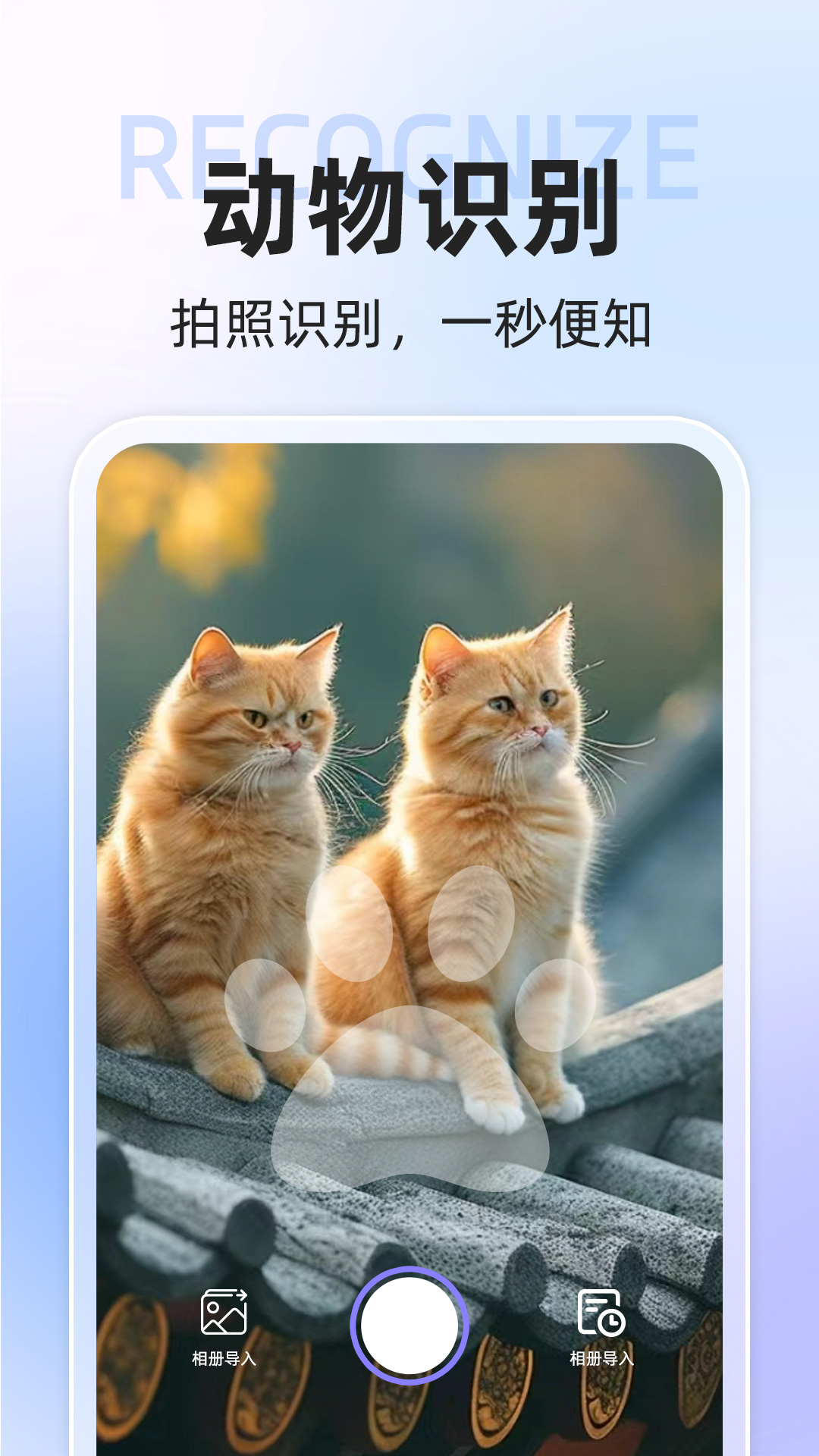 ai动物世界