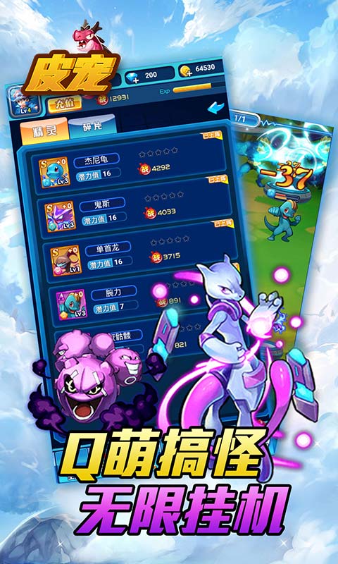 皮宠