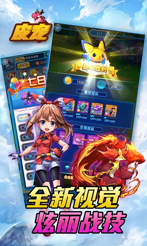 皮宠