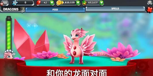 龙の谷