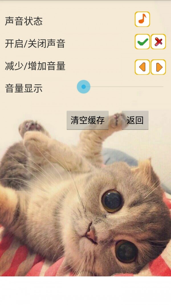 拼图之猫咪