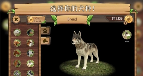 博美犬3d模拟