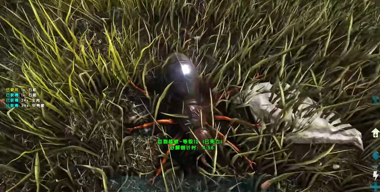 方舟生存进化初期怎么玩