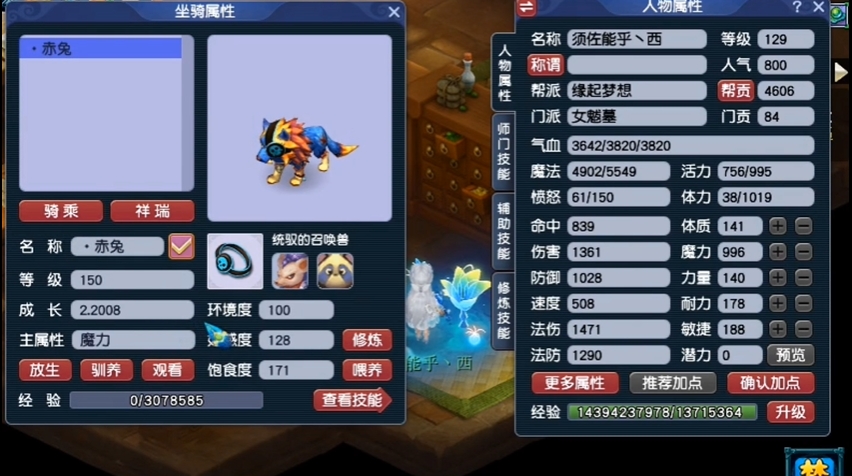 梦幻西游坐骑给宝宝加什么