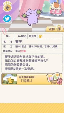 猫咪栽培合成