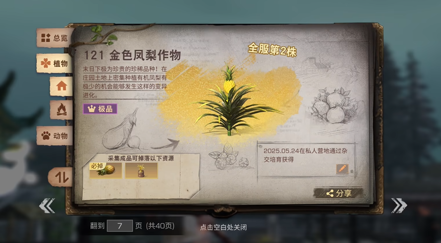 明日之后凤梨在哪里获得