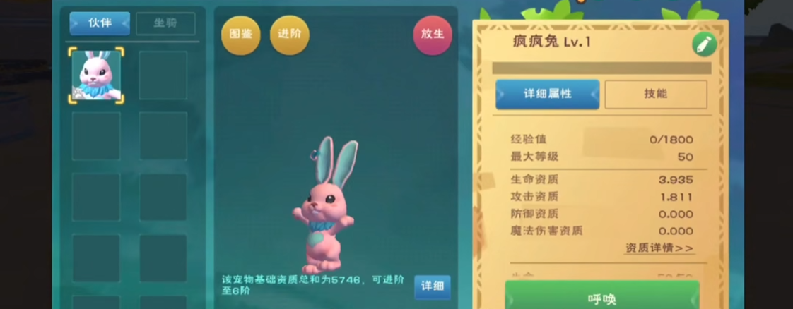 创造与魔法钓鱼带什么宠物合适