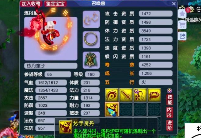 梦幻西游怎么让宝宝进阶