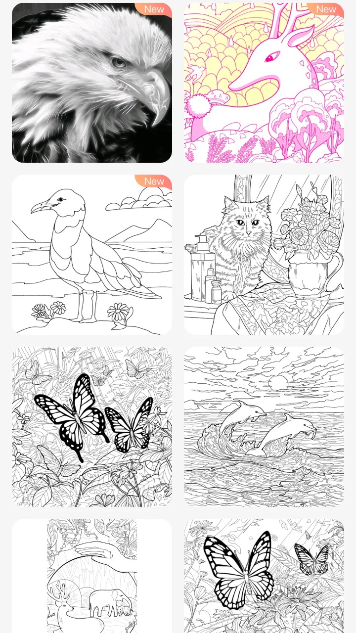 梦幻涂色