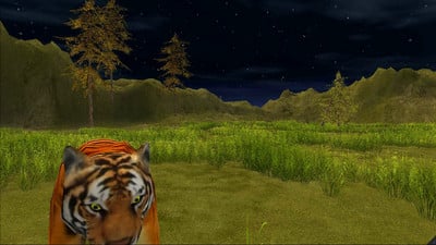 野生虎的攻击3D