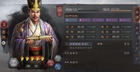 三国志战略版吴象怎么搭配