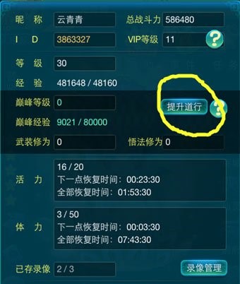 迷你西游巅峰等级有什么用