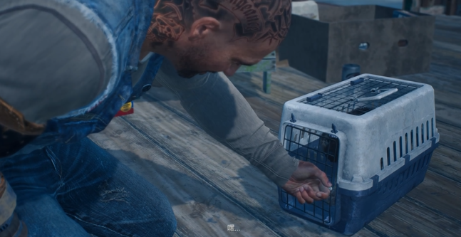 往日不再小狗诱饵在哪