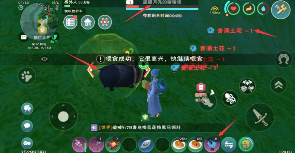 创造与魔法猪怎么驯服 创造与魔法猪怎么驯服