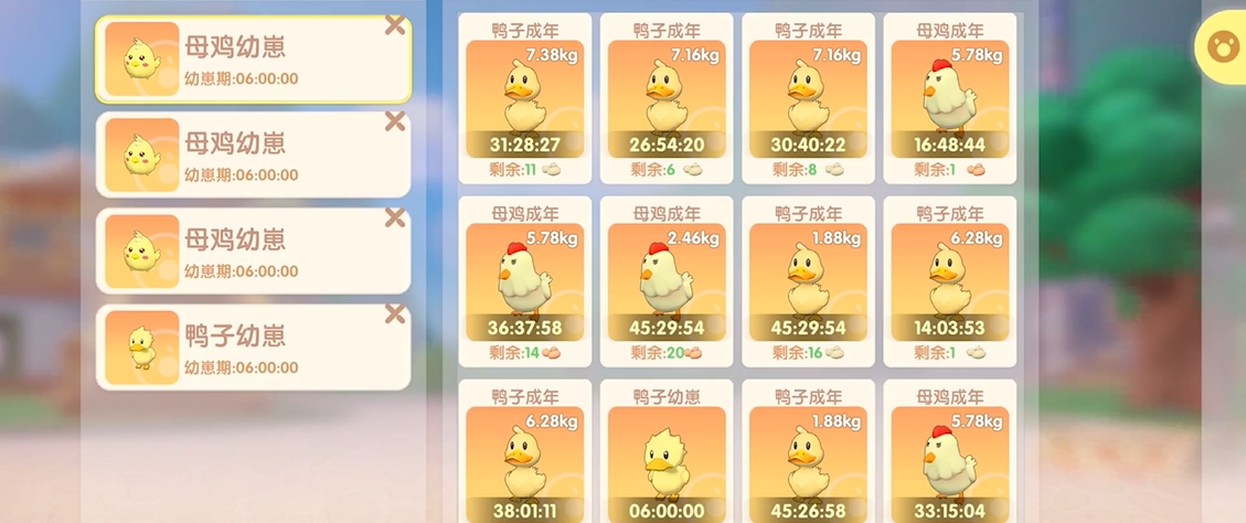 摩尔庄园手游怎么把小鸡围起来
