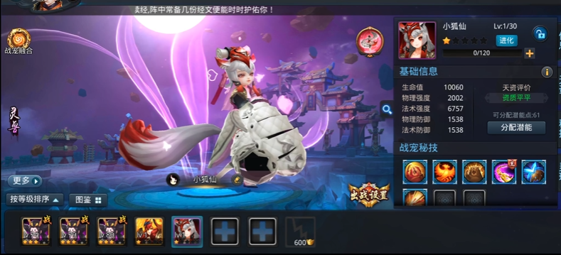 乱斗西游2战宠怎么加点 乱斗西游2战宠怎么加点