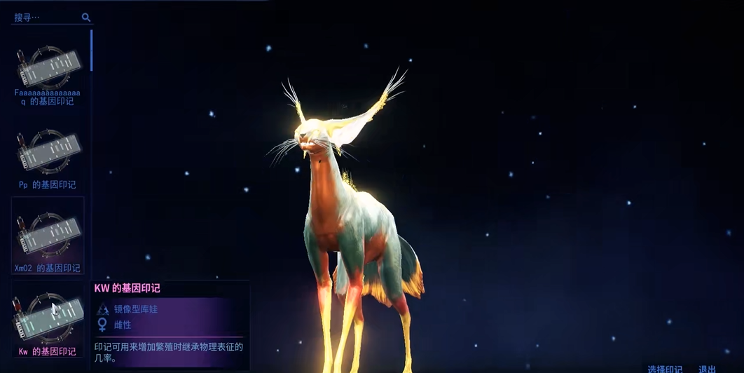星际战甲镜像猫是什么 星际战甲镜像猫是什么