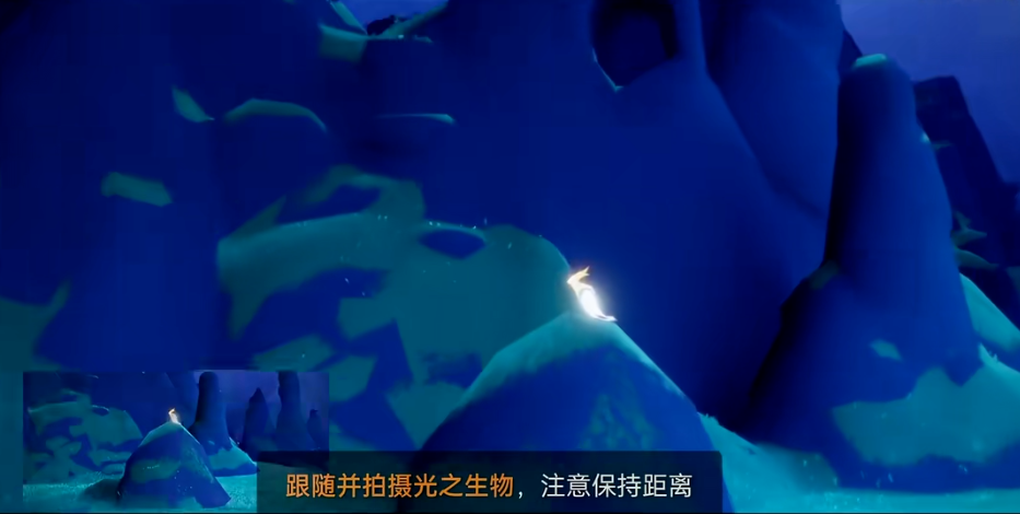 光遇生物之光怎么过