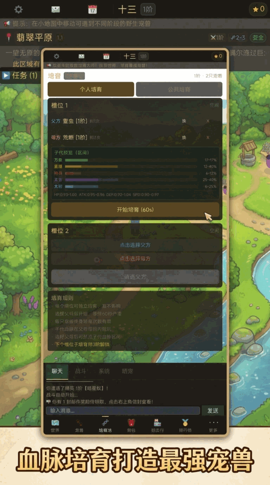 宠兽培育大师